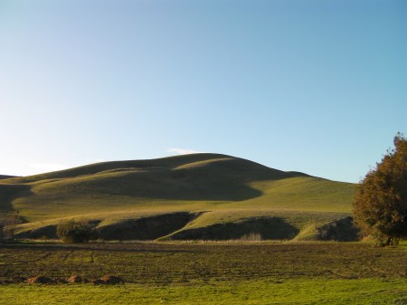 rolling green hill