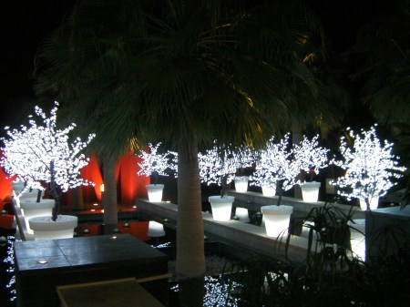 light bushes in a water feature