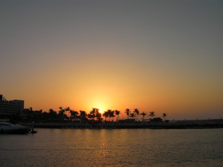 sun setting behind palm trees