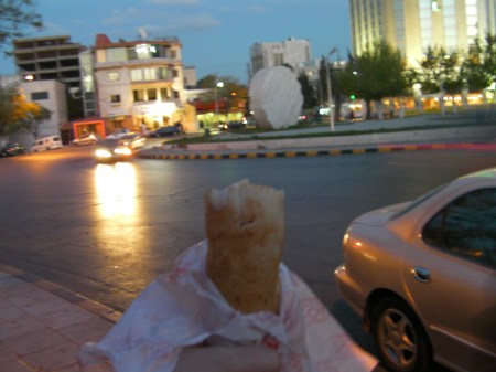 hand holding a shwarma sandwich