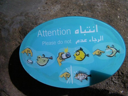 sign instructing not to use flash photography, rap on the glass, drop coins in the tanks, or offer your finger to hungry fish