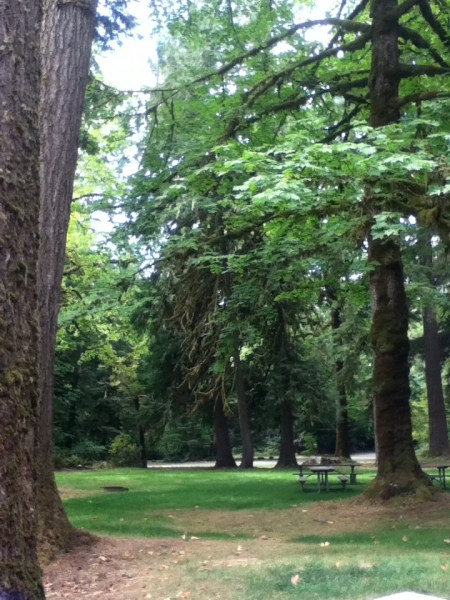 forrest park area
