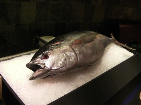 closeup of a tuna fish on a cutting table