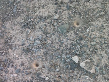 funnel holes in the dirt indicating the presence of ant lions