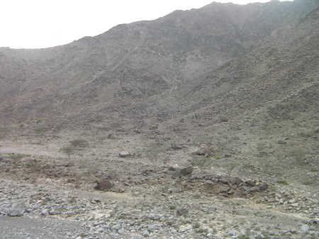 dry valley and hillside
