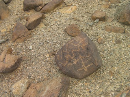 two snake markings on a soccer ball sized rock