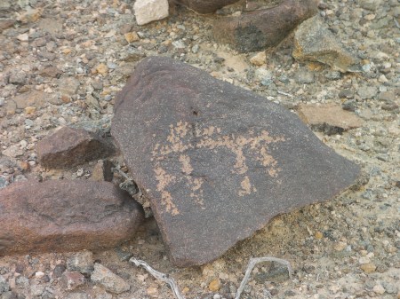 camel petroglyph