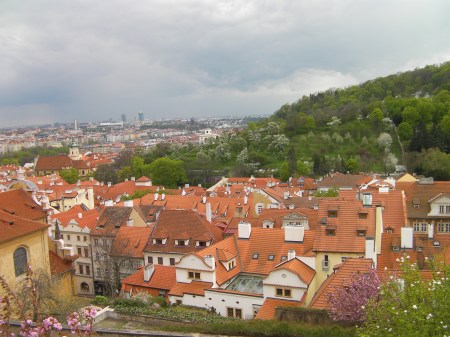 view of rooftops from castle hill