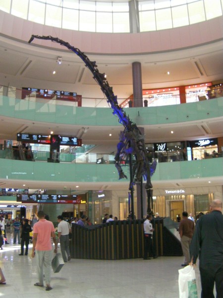 dinosaur exhibit