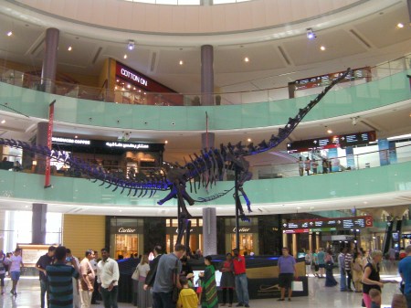 dinosaur exhibit