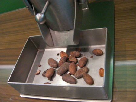 Roasted Cocoa Beans