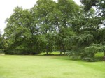 open lawn area and large deciduous trees