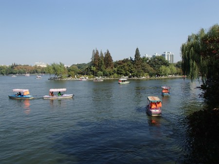 paddle boats on a lake
