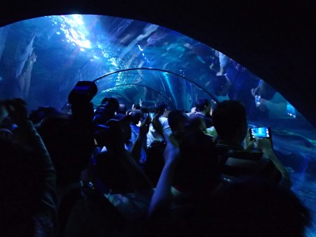 glass tunnel filled with people