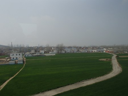 green field