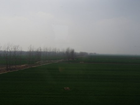green field with randomly placed conical mounds