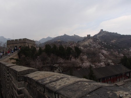 The Great Wall of China, mountains, blooming trees