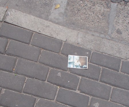 a photograph of a man sitting at a desk laying on a street curb