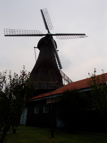 a Dutch style windmill