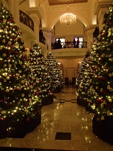 8 large Christmas trees in the hotel lobby