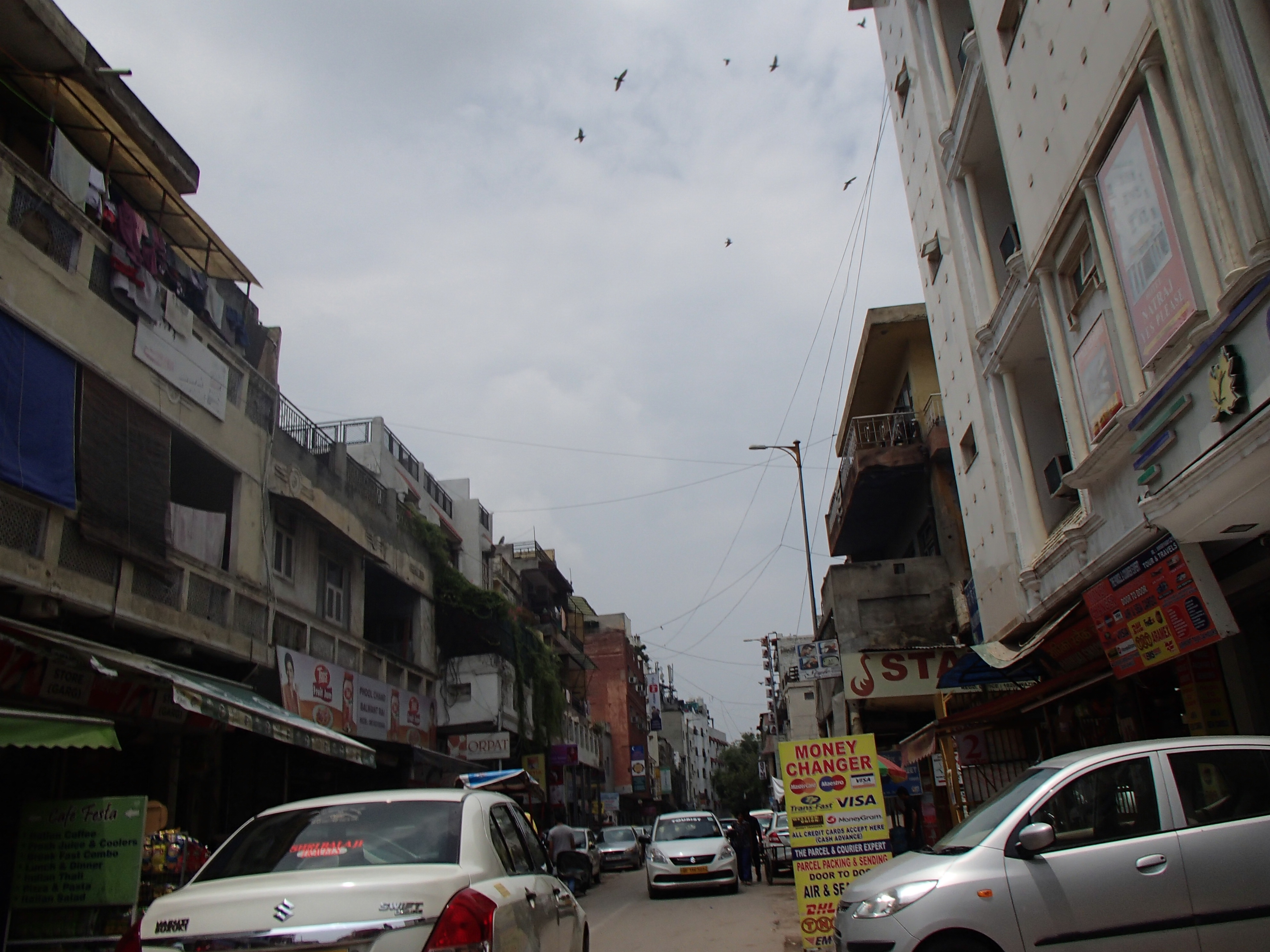 P7141526.JPG