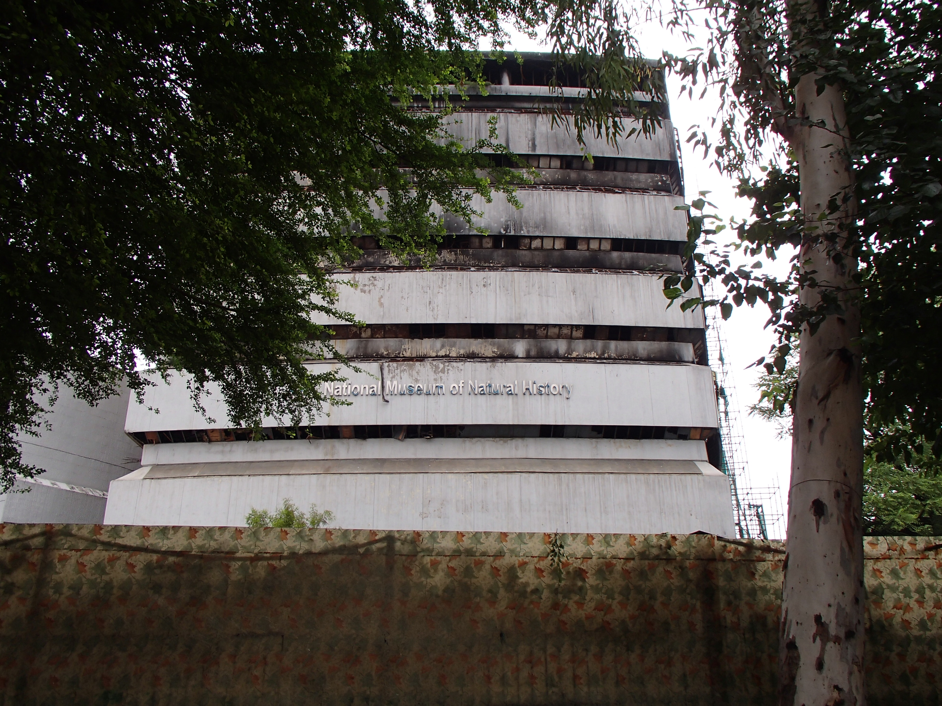 National Museum of Natural History fire damaged building
