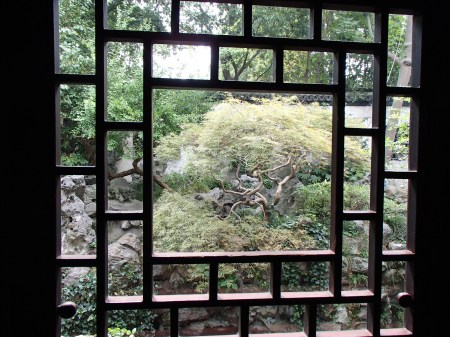 tree framed by a window