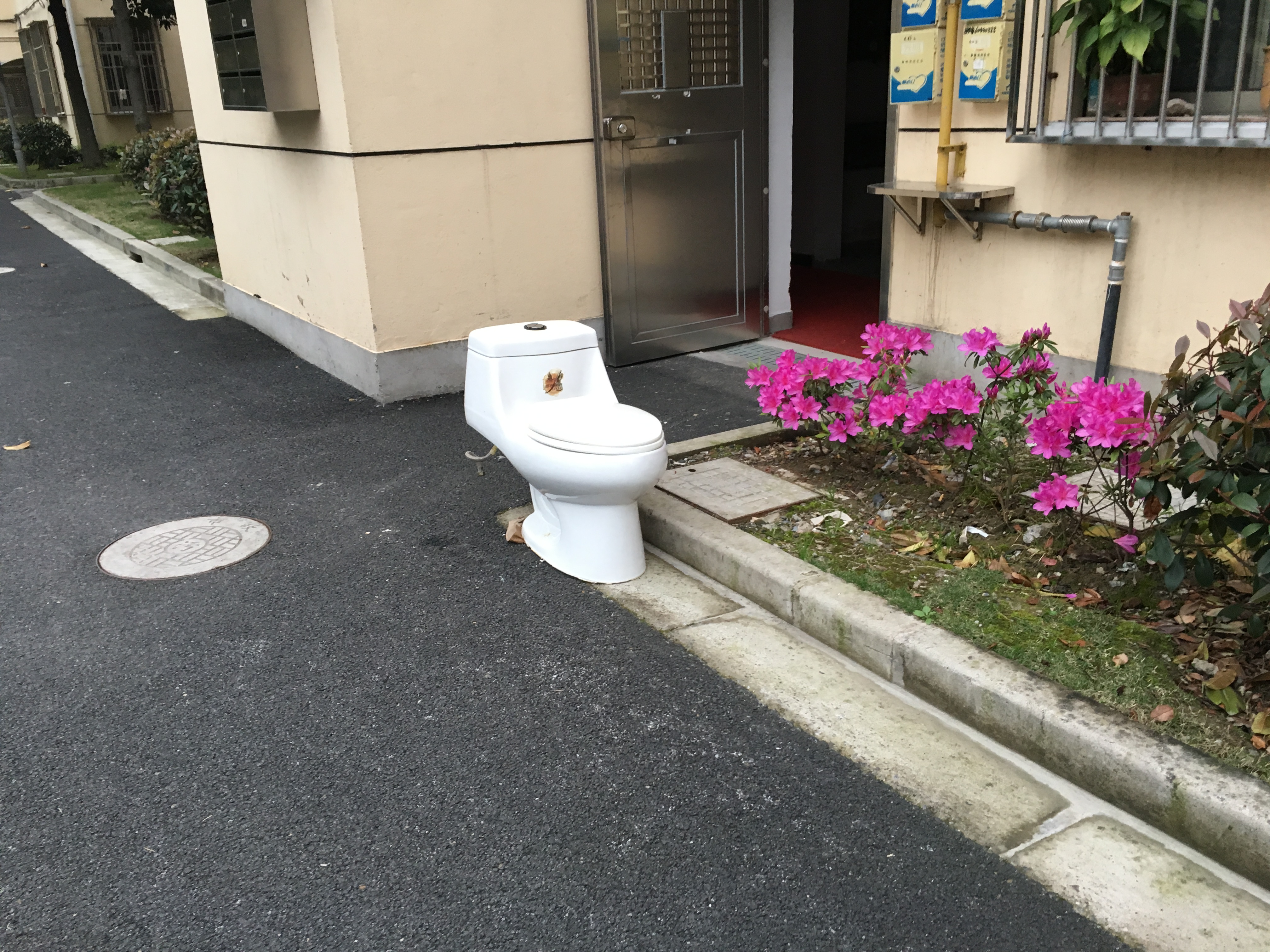 a toilet placed outside a building for disposal