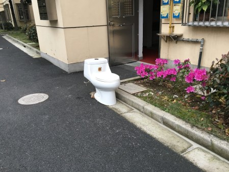 a toilet placed outside a building for disposal