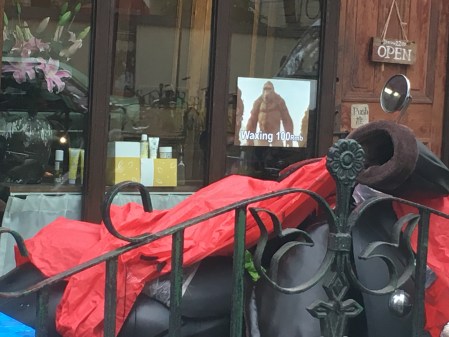 a shop window with a sign for waxing showing a sasquatch