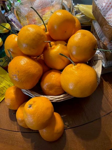 oranges