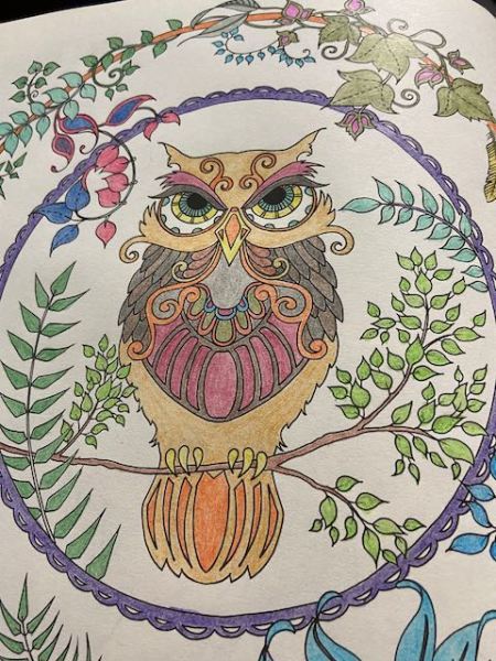 coloring book page 